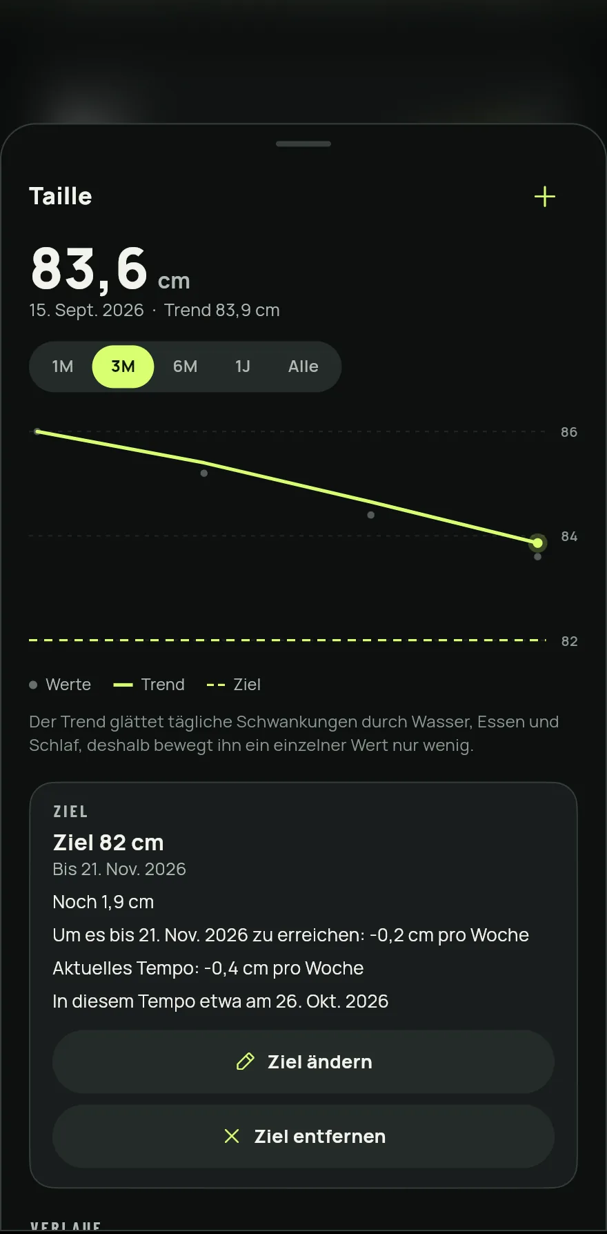 Tippe auf das + neben dem Namen des Maßes, gib den Wert ein, prüf das Datum und tippe auf Speichern.