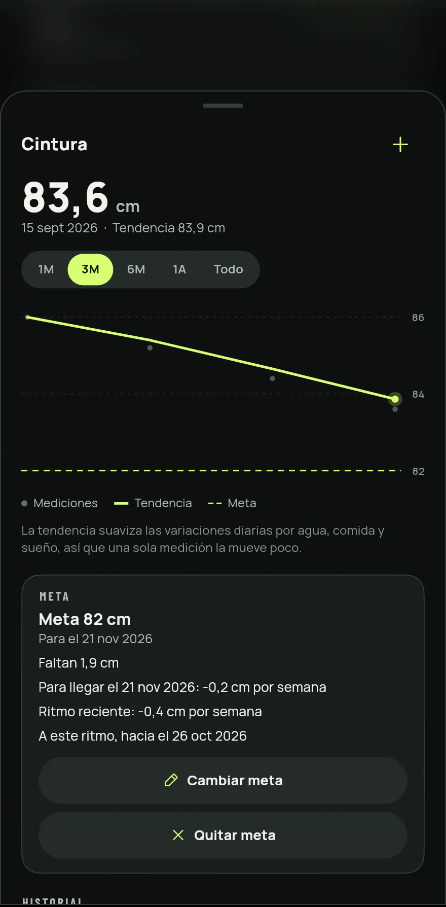 Toca el + junto al nombre de la medida, escribe el valor, comprueba la fecha y toca Guardar.