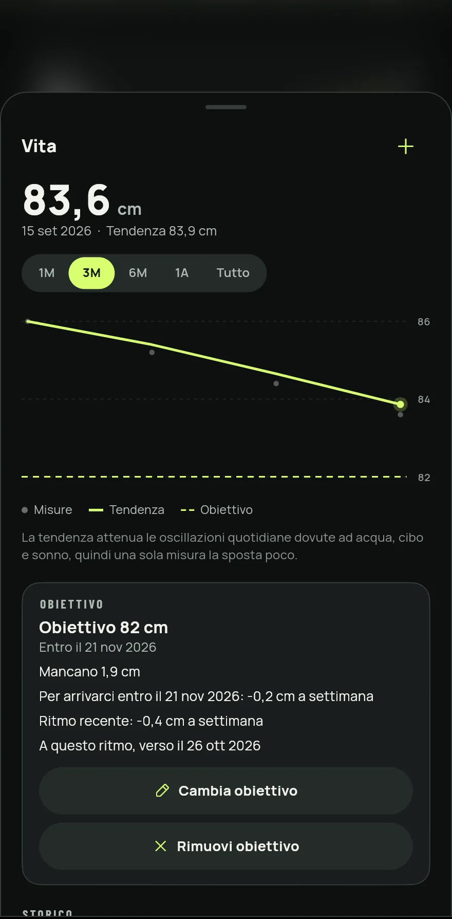 Tocca il + accanto al nome della misura, inserisci il valore, controlla la data e tocca Salva.