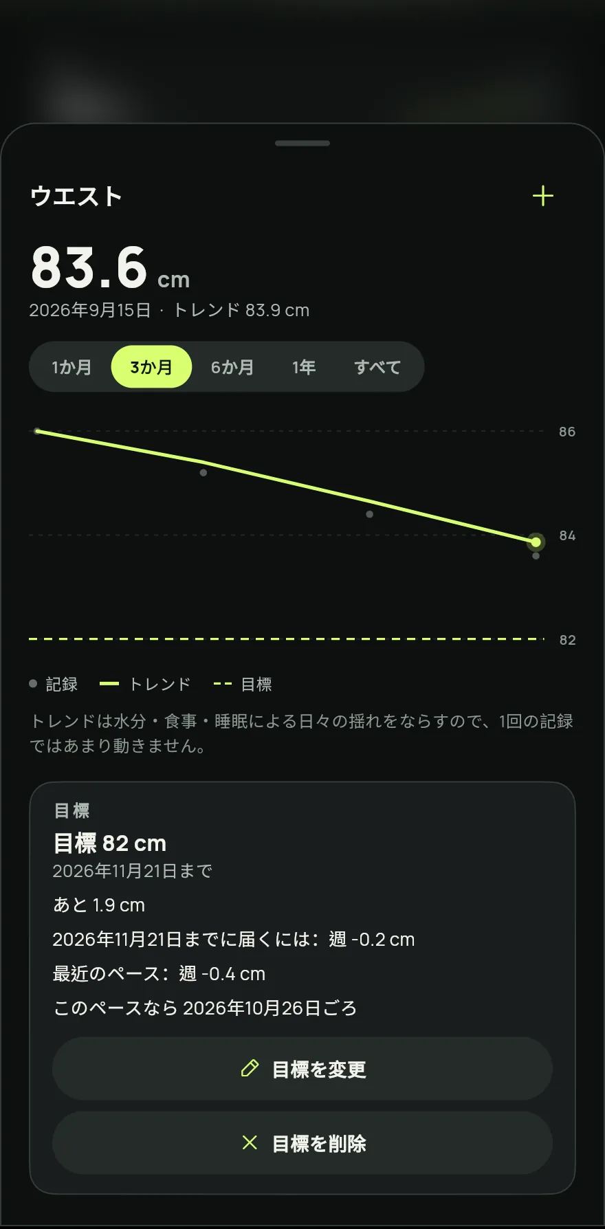項目名の横の + をタップし、値を入力して日付を確認し、保存 をタップします。