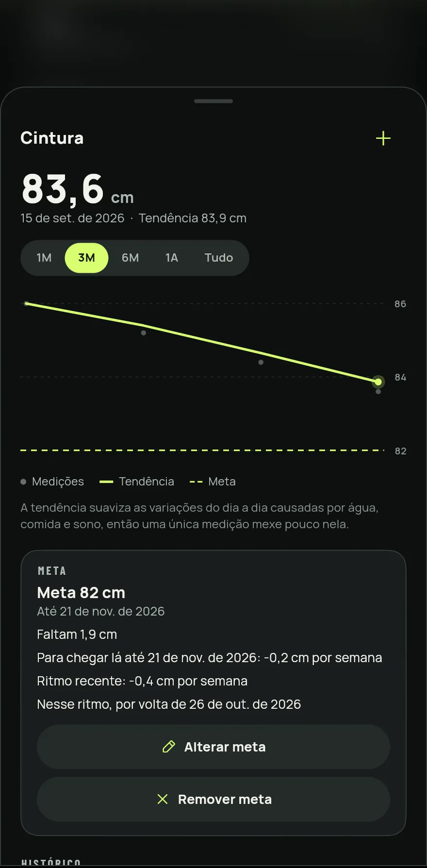 Folha da medida Cintura: o valor atual, o gráfico com as medições, a tendência e a meta de 82 cm com o ritmo para chegar lá.