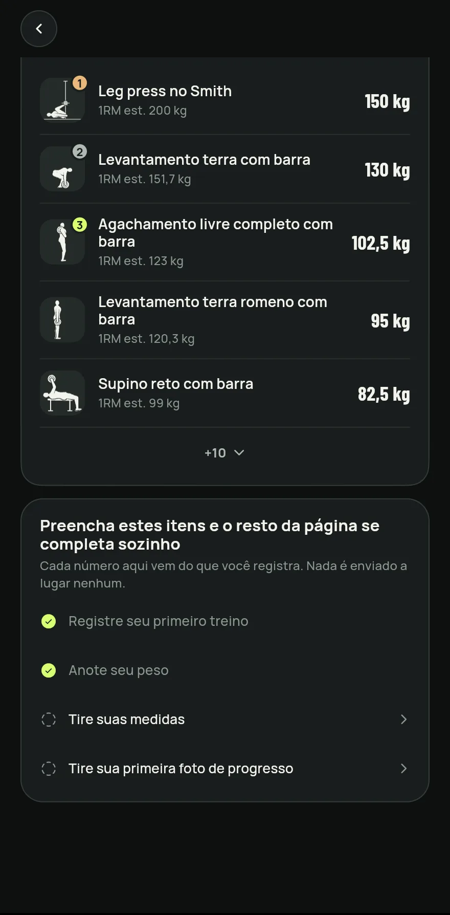 Cartão Recordes pessoais na tela de progresso: os exercícios com o maior 1RM estimado e a carga de cada recorde, com o pódio dos três primeiros.