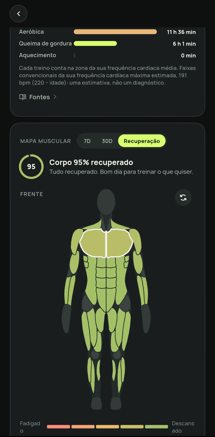 Mapa muscular com a opção Recuperação escolhida: cada músculo pintado pela porcentagem de recuperação e o peito tocado, com quanto falta para ficar pronto.