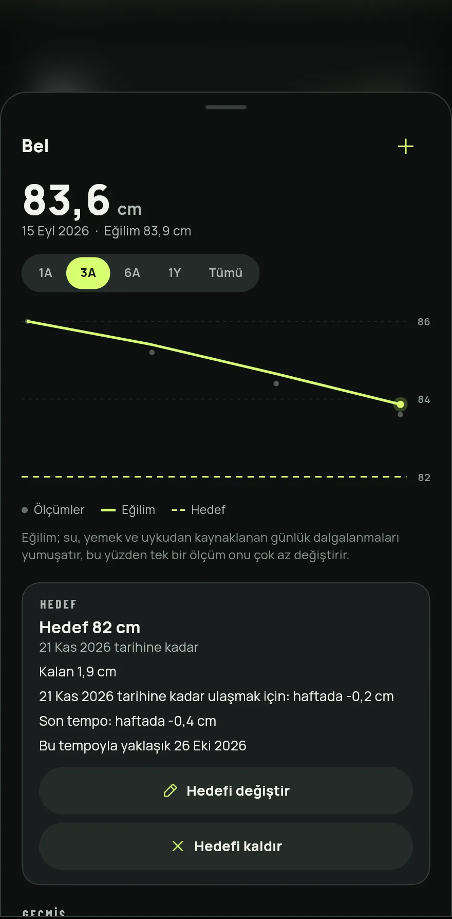 Ölçünün adının yanındaki + düğmesine dokun, değeri gir, tarihi kontrol et ve Kaydet düğmesine dokun.